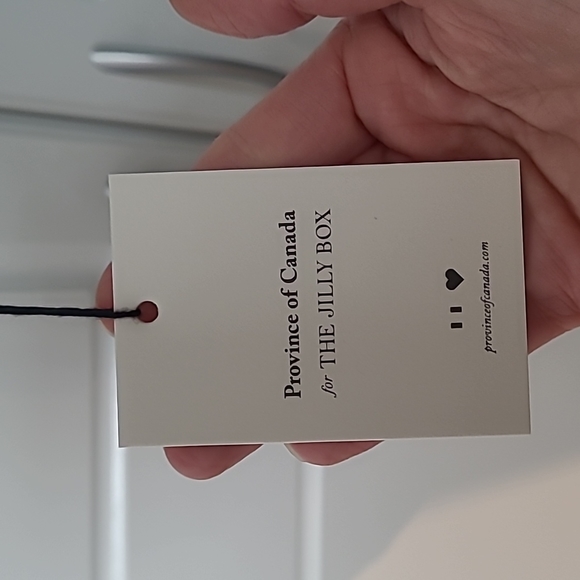 Accent Pillow Case | Province of Canada | Bonjour - Picture 7 of 7